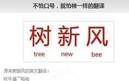 QQ