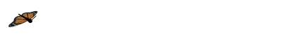 2017