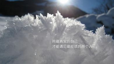2017qq