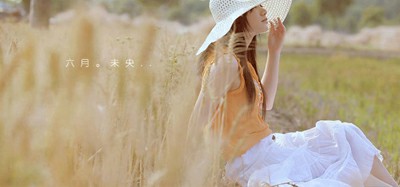 2017qq