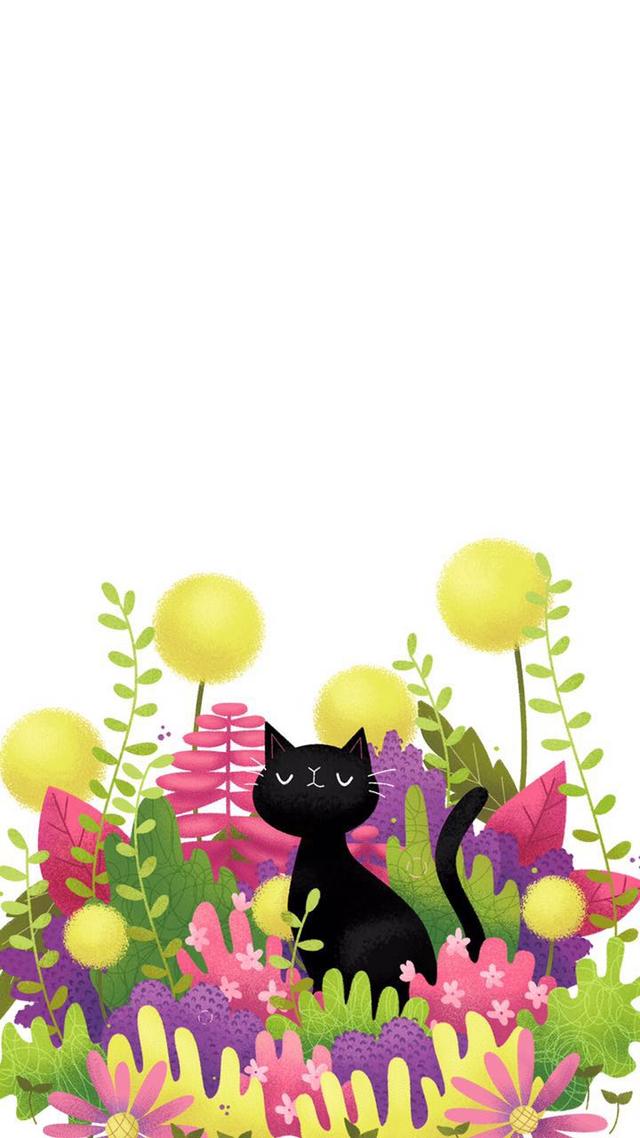 QQ